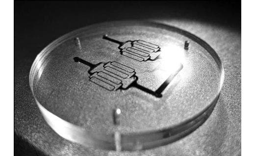 Microfluidics - An Evolving Technology Ready for Prime Time