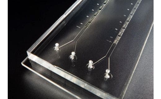 Herz-on-a-Chip-Systeme: Mikrofluidik beschleunigt Arzneimittelforschung und -einführung