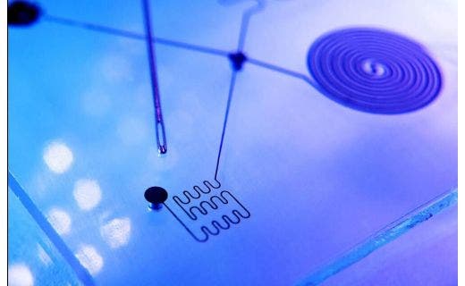 Hydrophilicity of COC for Microfluidic Devices