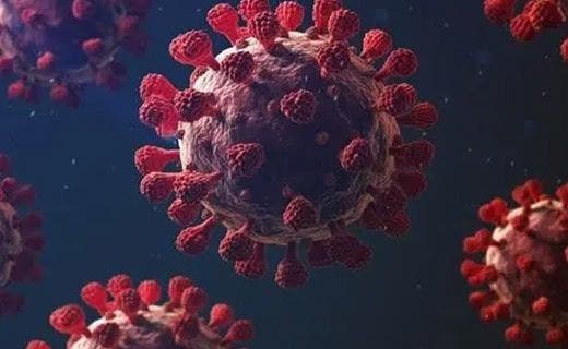 Coronavirus (COVID-19) Statement