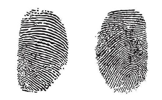 The history of fingerprinting